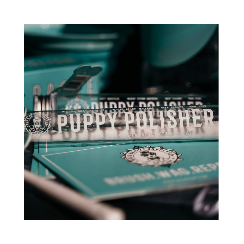 Puppy Polisher ultraweiche ECO Zahnbürste