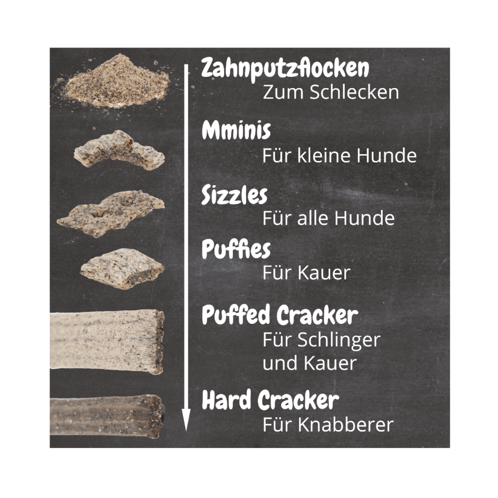 QChefs Zahnputzkohle Hund