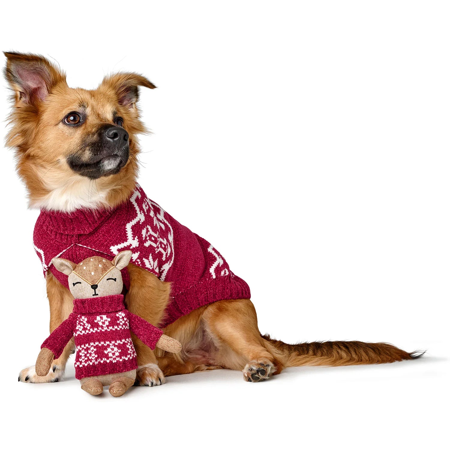 Hund hinter Hundespielzeug BIRKA Reh Rot - Hunter