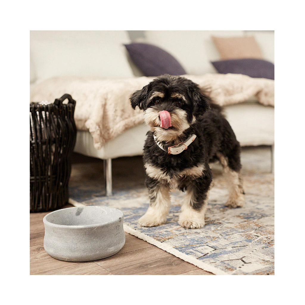 Hund neben Napf Rocky selbstkühlend Speckstein Grau - Laboni
