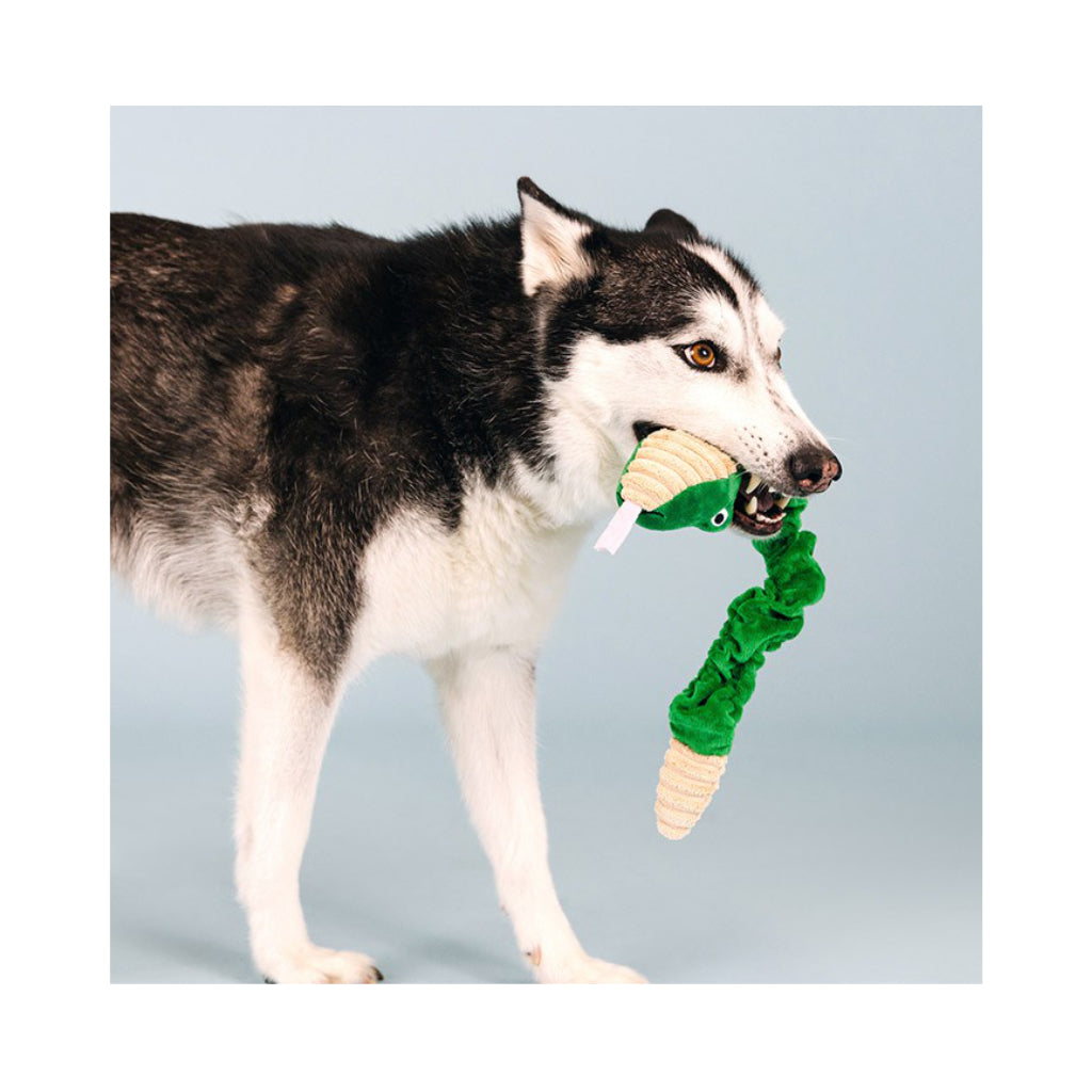 Hundespielzeug Schlange Hisses & kisses | Bungee