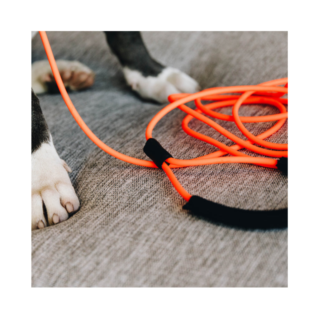 Nahaufnahme Schleppleine Soft Rubber Orange - Kentucky Dogwear