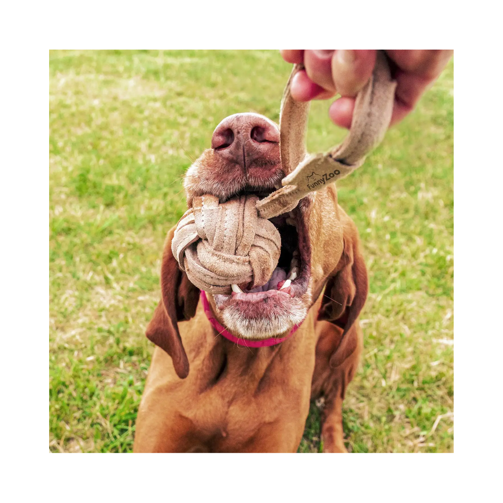 Hund mit Hundespielzeug SCHLEUDERBALL aus Wildleder - Funny Zoo