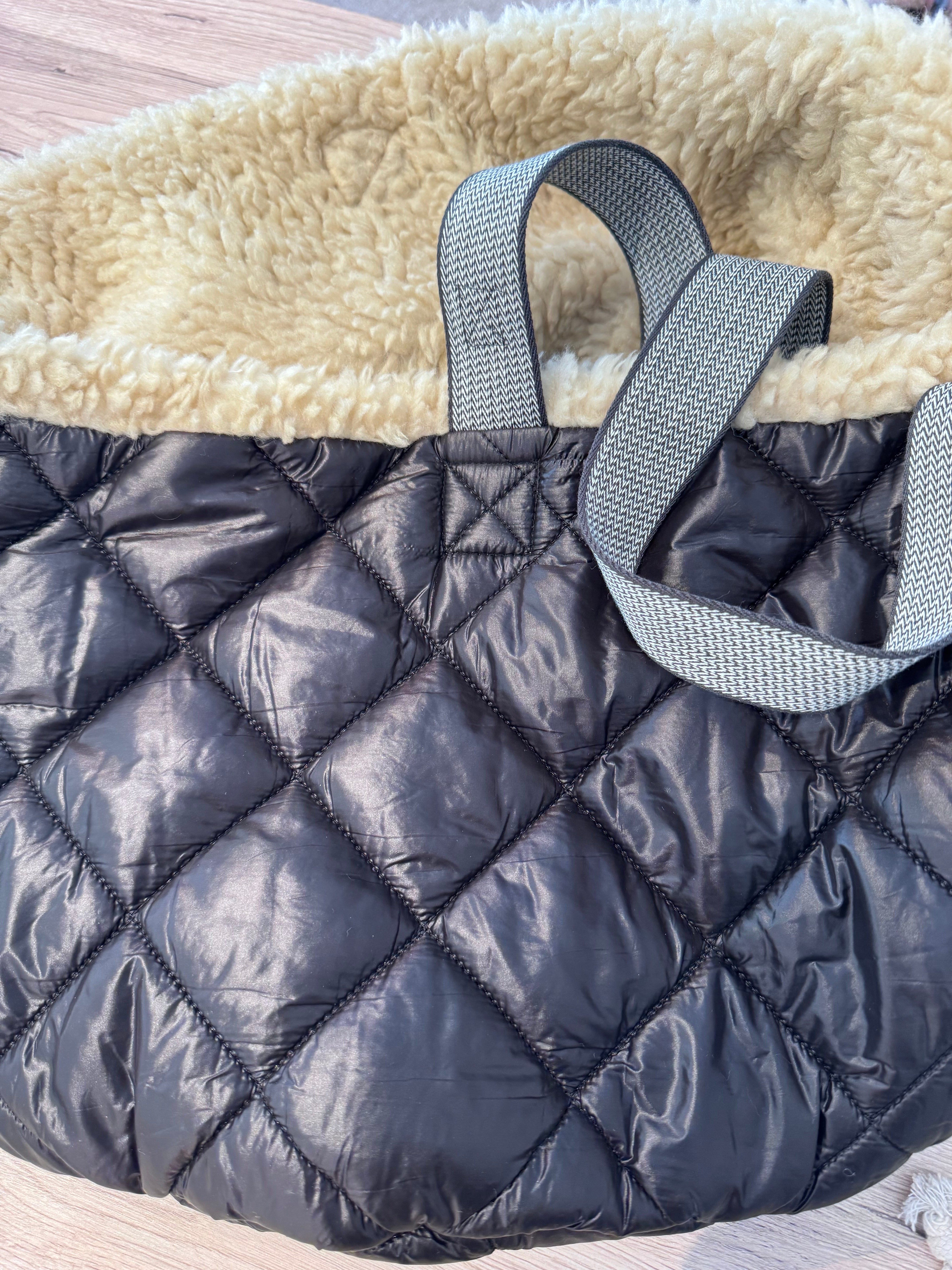 Teddy Dog Bag