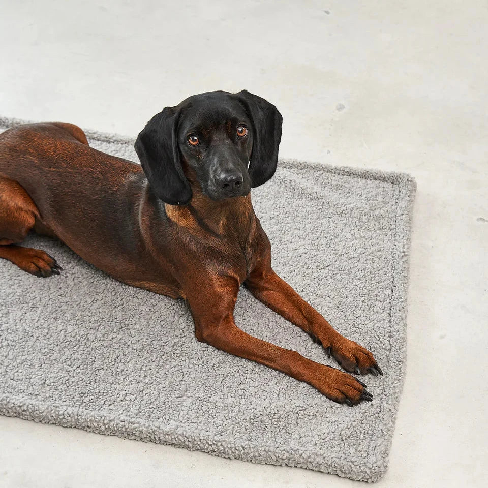 MiaCara Senso Hundedecke Kiesel