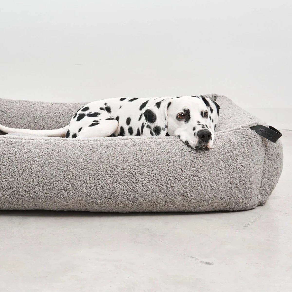 Hund in MiaCara Hundebett Senso Kiesel