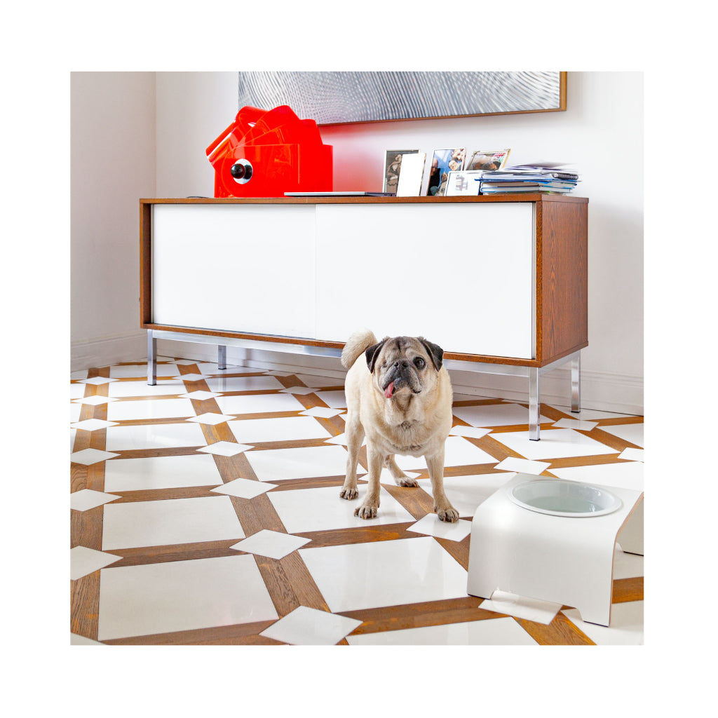 Mood Bild dogBar® Single M-small weiß mit Prozellan Napf