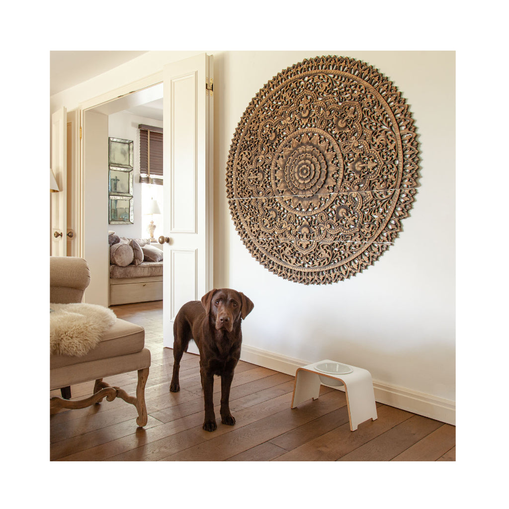 Modd Bild dogBar® Single M-large weiß mit Porzellan Napf