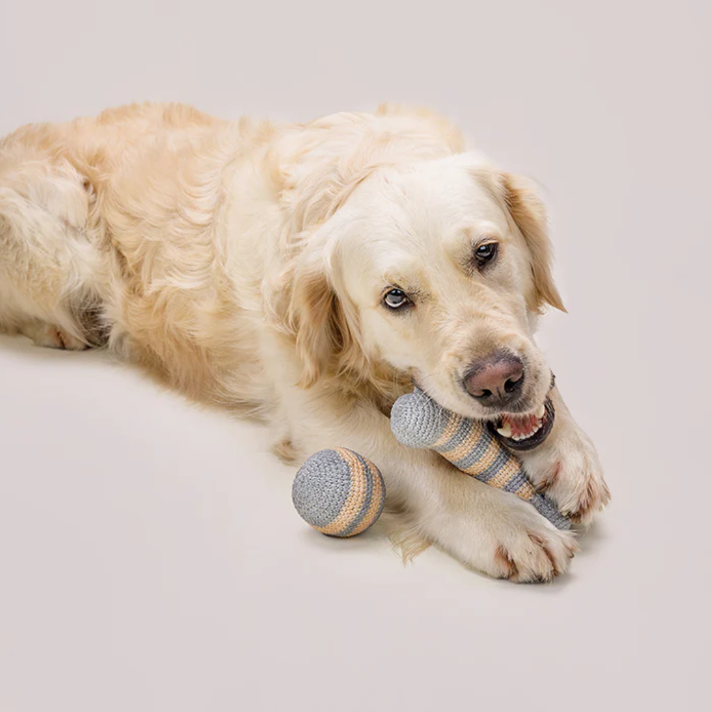Hund mit Knochen & Ball LILLY gehäkelt SKY-BLUE - Lillabel