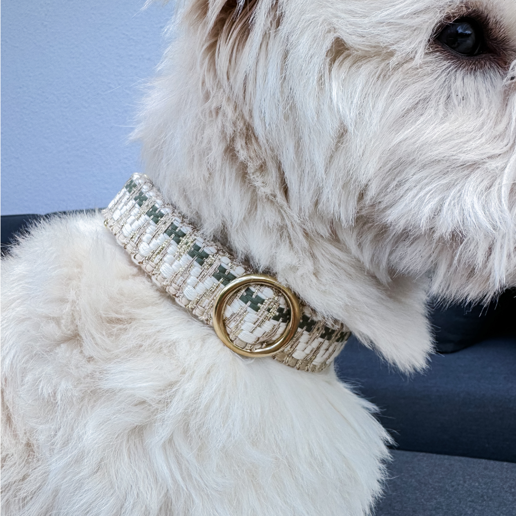 Nahaufnahme Tragebild Halsband Sparkle - Fräulein Lotti