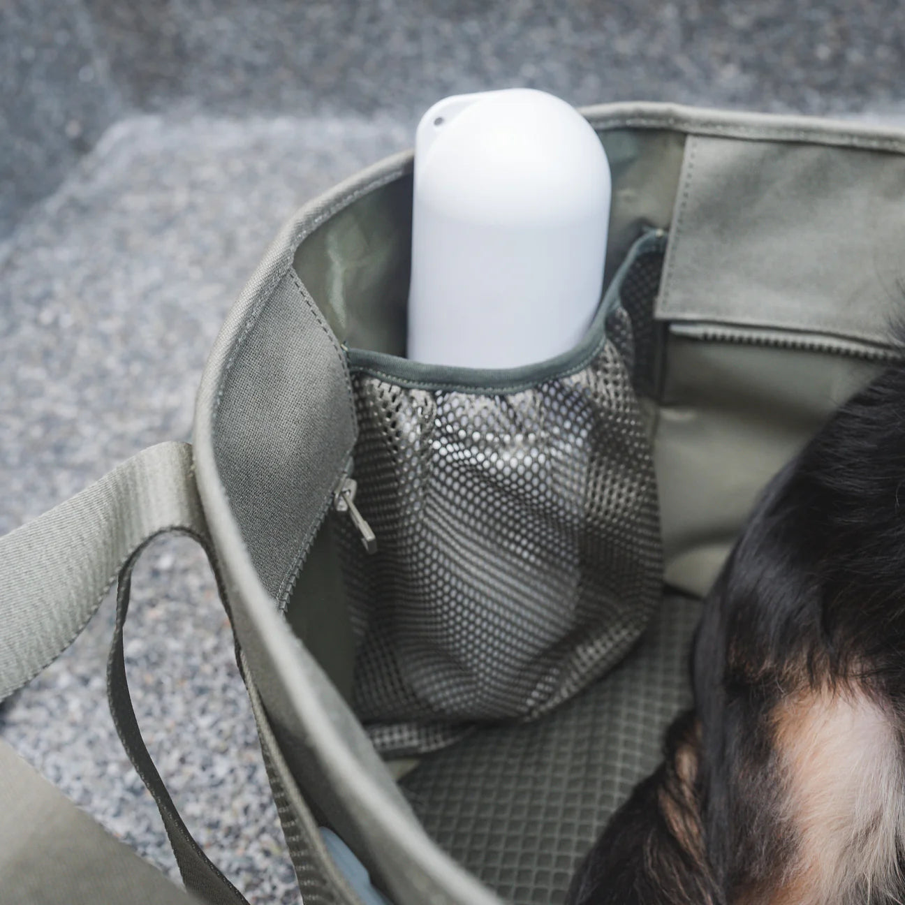 Innenfach Hundetasche SUBWAY Olive fern - lambwolf collective