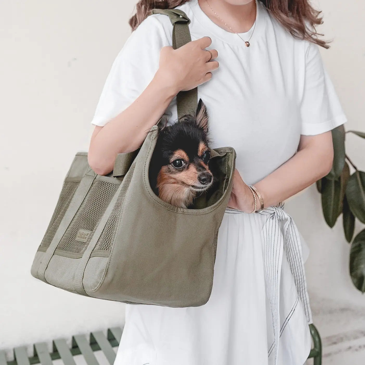 Tragebild Hund in Hundetasche SUBWAY Olive fern - lambwolf collective