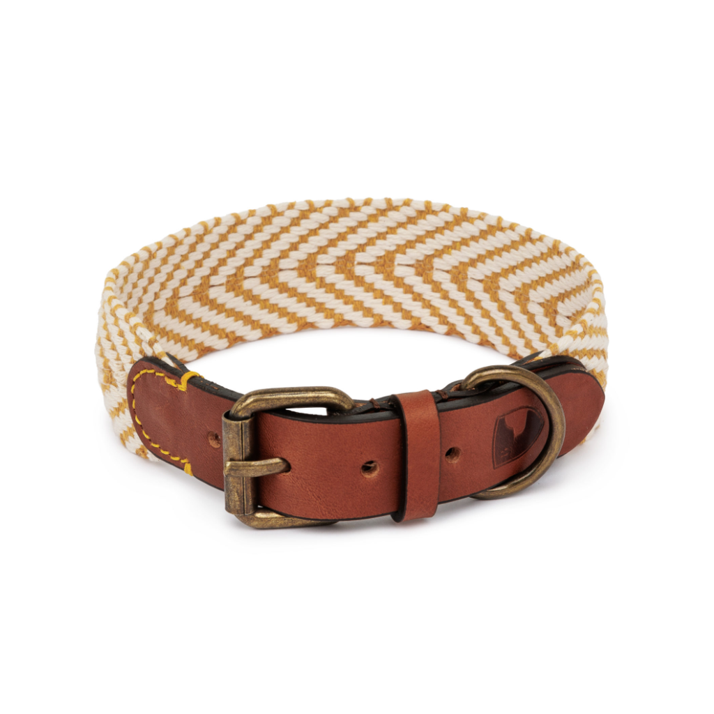 Schnalle Halsband Portixol Sun - Summer Edition - Buddys Dogwear