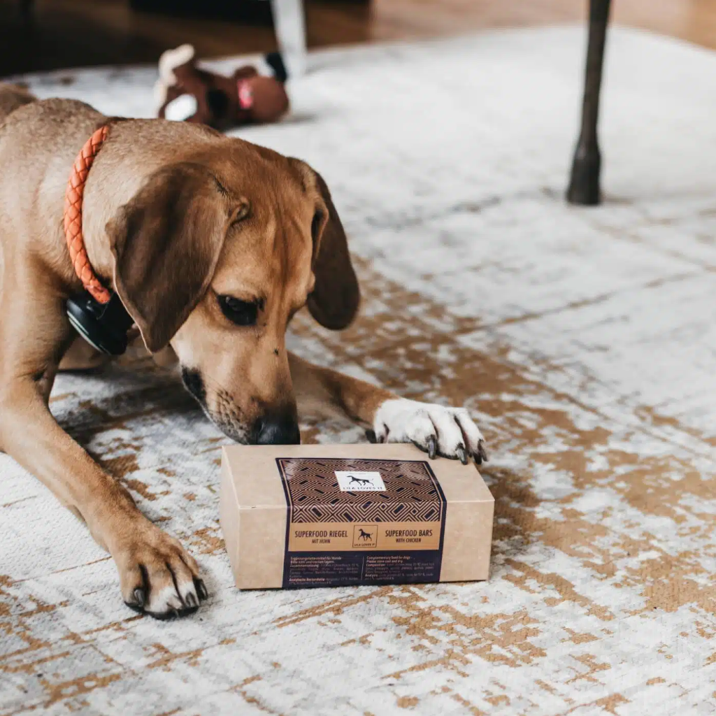 Hund mit Superfood Riegel Huhn - LILA LOVES IT