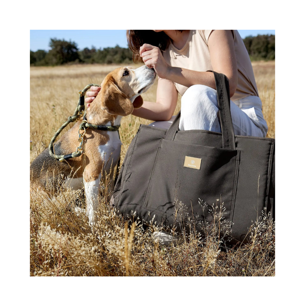 Unterwegs mit Hund & Dog Travel Bag Nobo Anthrazit - Palopa