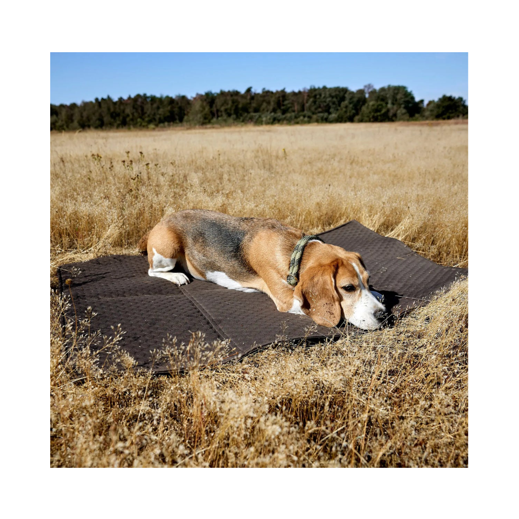 Hund auf Dog Travel Bag Nobo Anthrazit - Palopa