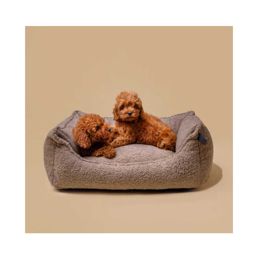 Welpen auf Hundebett TEDDY ECO Bouclé Taupe - LILLABEL