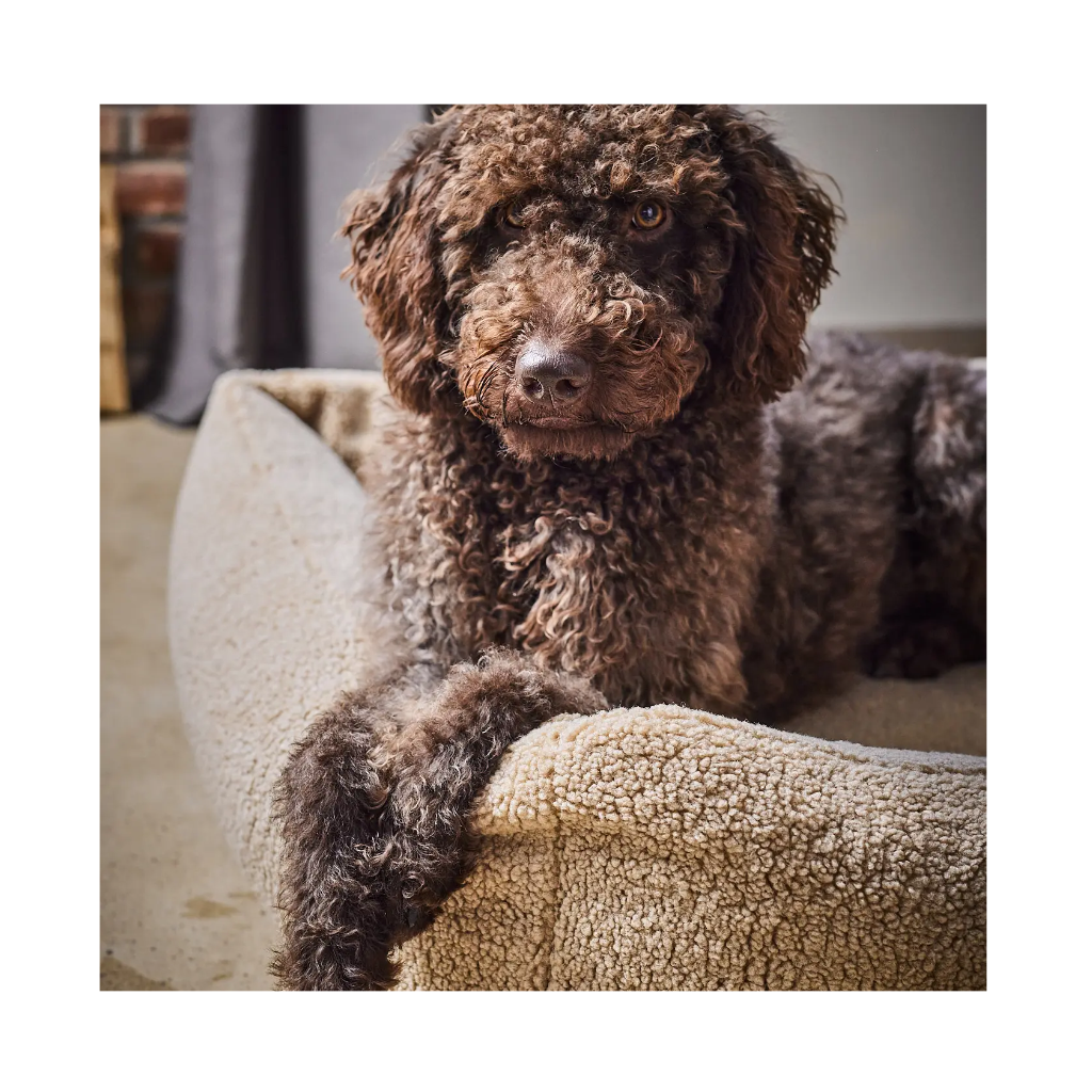 Hundebett TEDDY Classic Beige