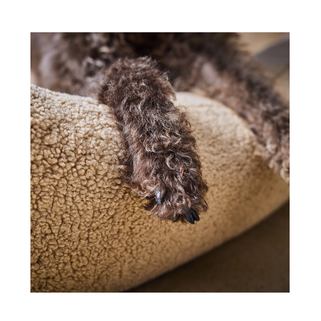 Hundebett TEDDY Classic Beige