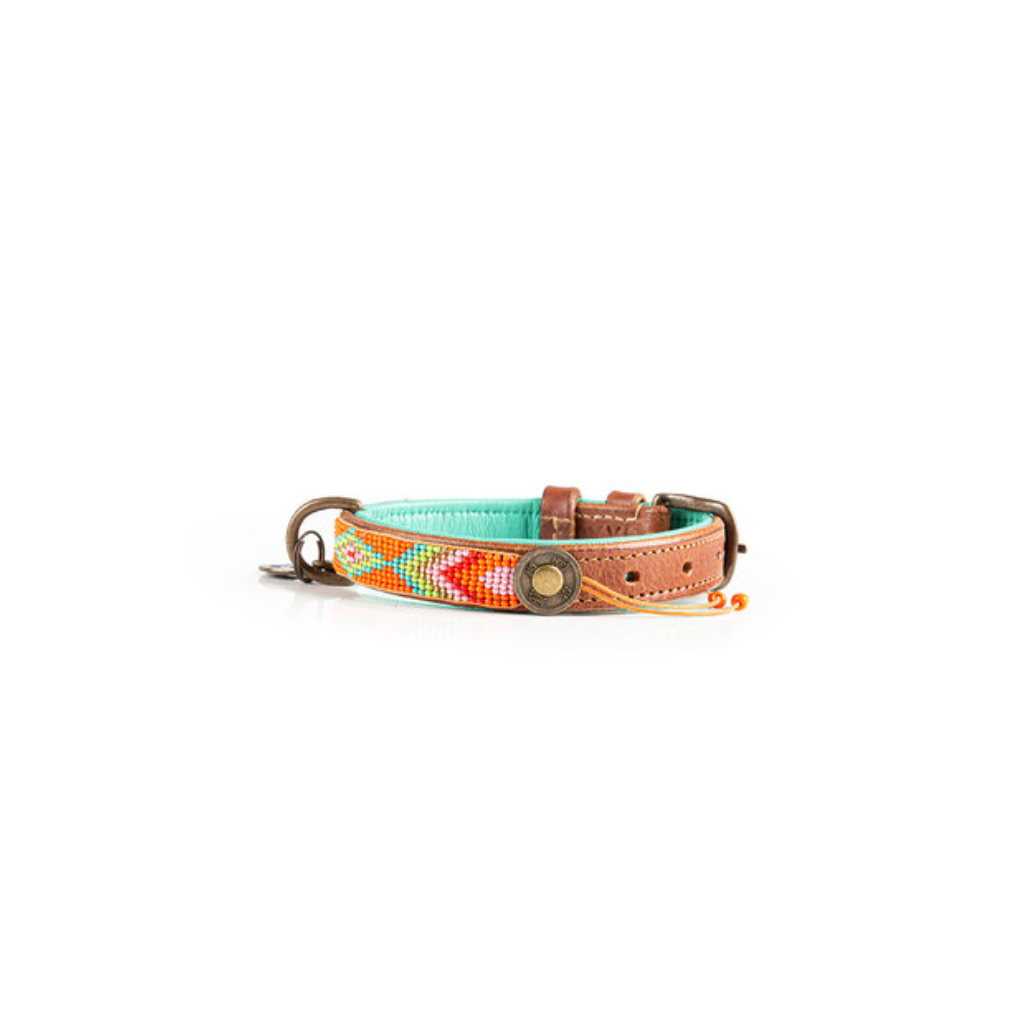Größe XS Halsband TIGER LILY Orange - DWAM - Dog With A Mission
