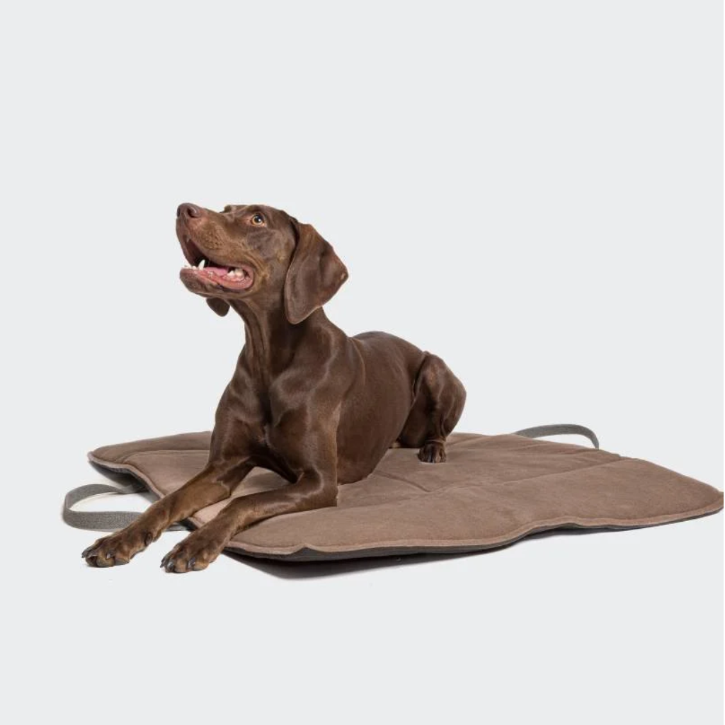 Hund auf Cloud7 Hundereisebett Travel Bed wasserabweisend Graphit-Sand