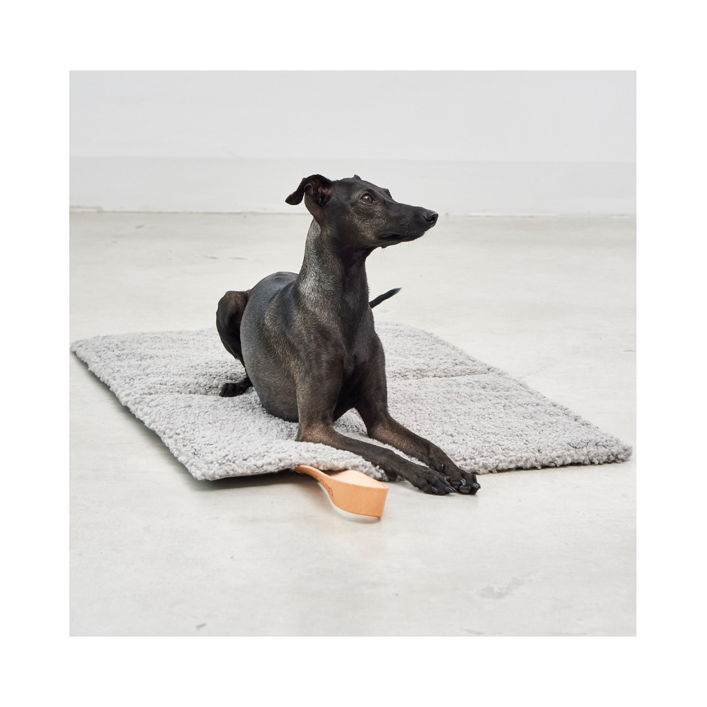 Hund auf Cosmo Senso travelBed Kiesel 2 - MiaCara