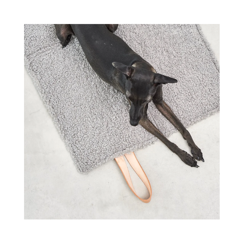 Hund auf Cosmo Senso travelBed Kiesel von oben - MiaCara