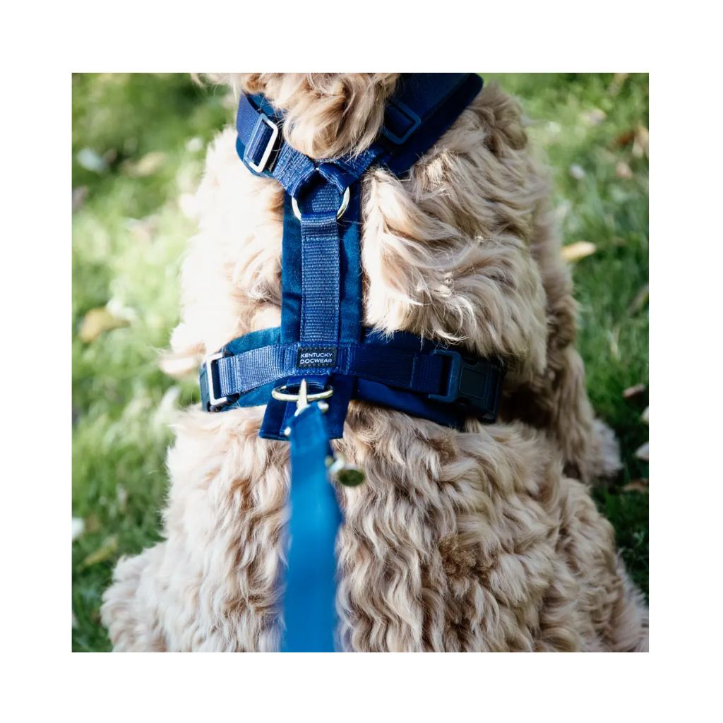 Hundegeschirr Aktiv VELVET Navy