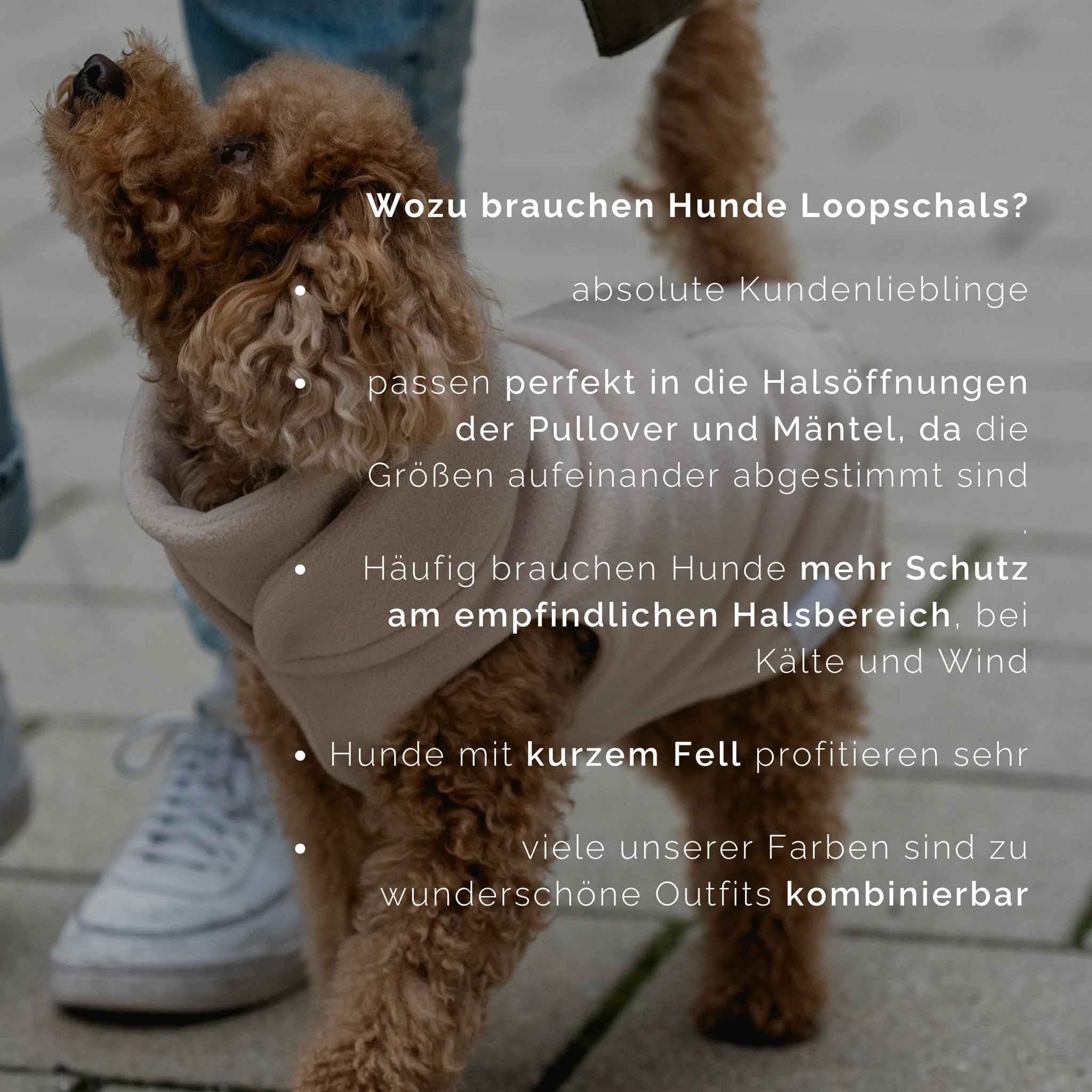 Goldhund Hundeloop Fleece Dunkelbraun