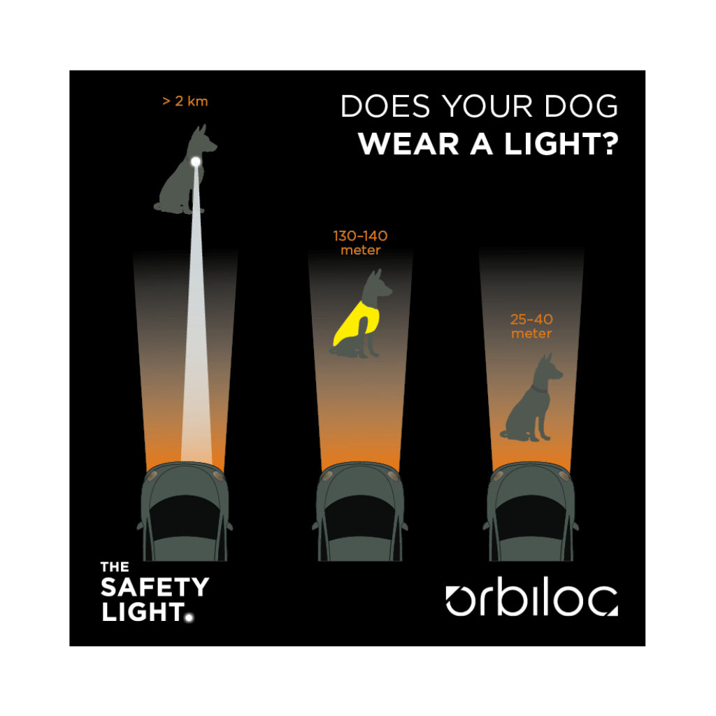 Orbiloc® Dog Dual LED Hundesicherheitslicht wasserdicht