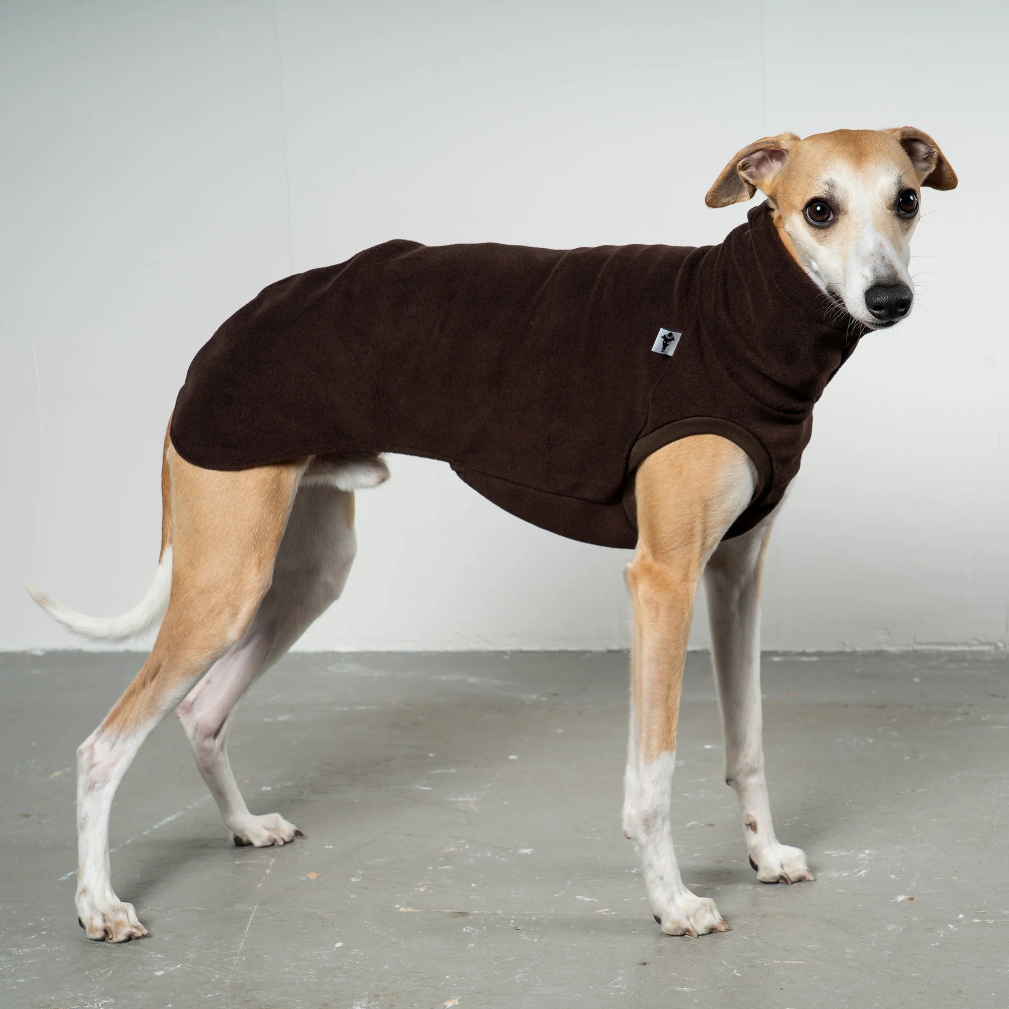 KARMA HUND Fleece Shirt Espresso für Whippet, Windhunde, Podenco, Galgo