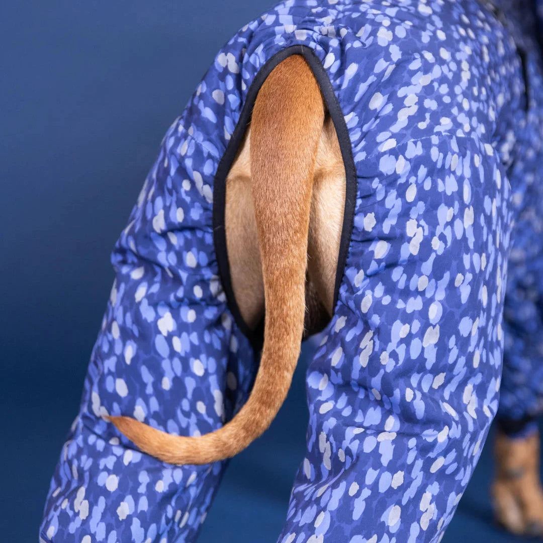 Tragebild Rückseite Hundewinteranzug Winter Suit Blue - PAIKKA