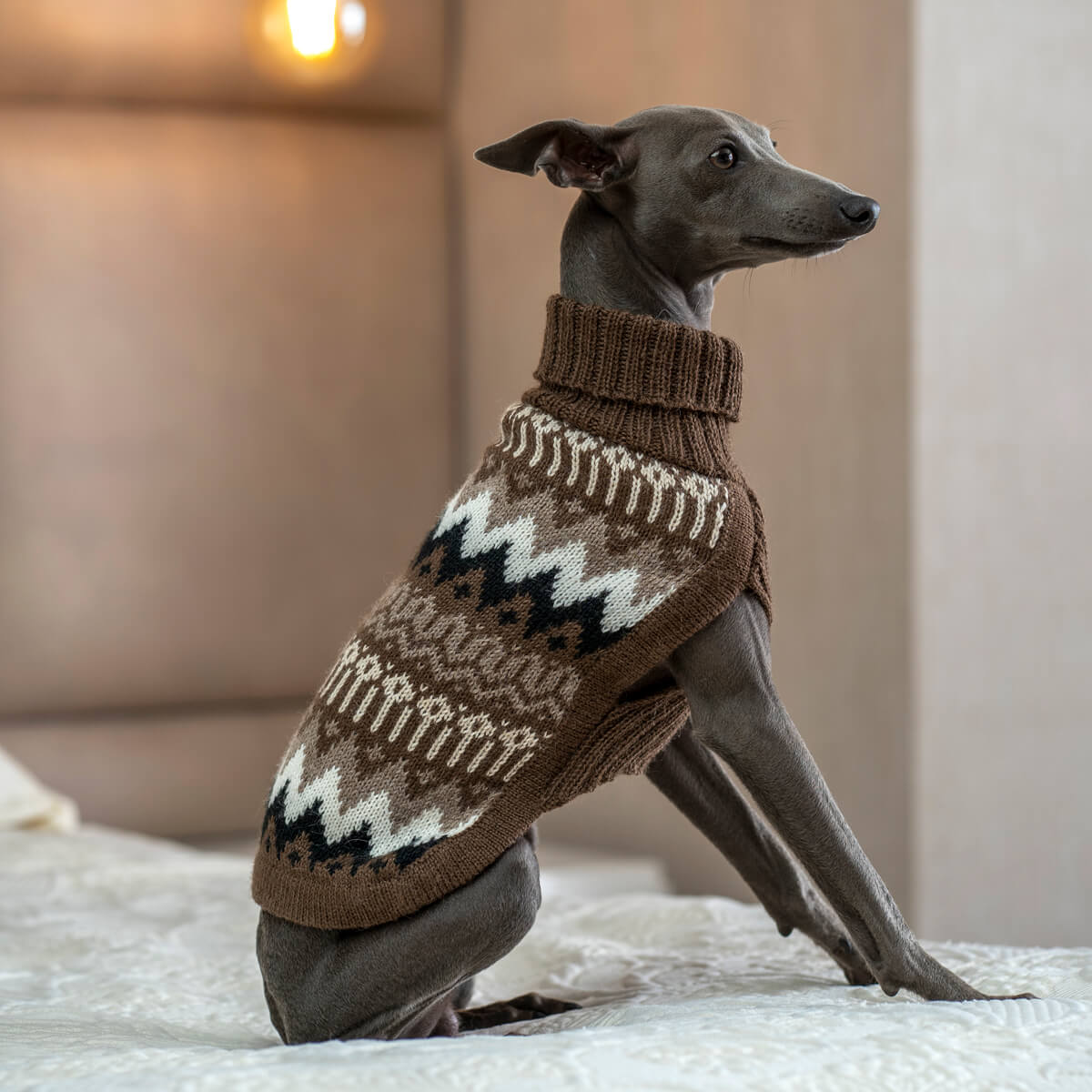 Tragebild 2 Hundepullover Woolly Peaks aus Alpaka - ALQO WASI
