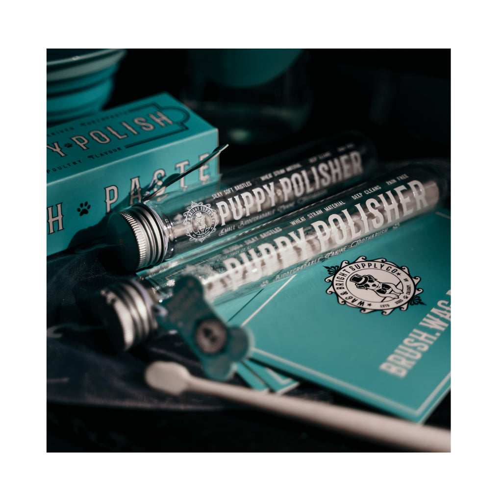 Puppy Polisher ultraweiche ECO Zahnbürste PEARL XS