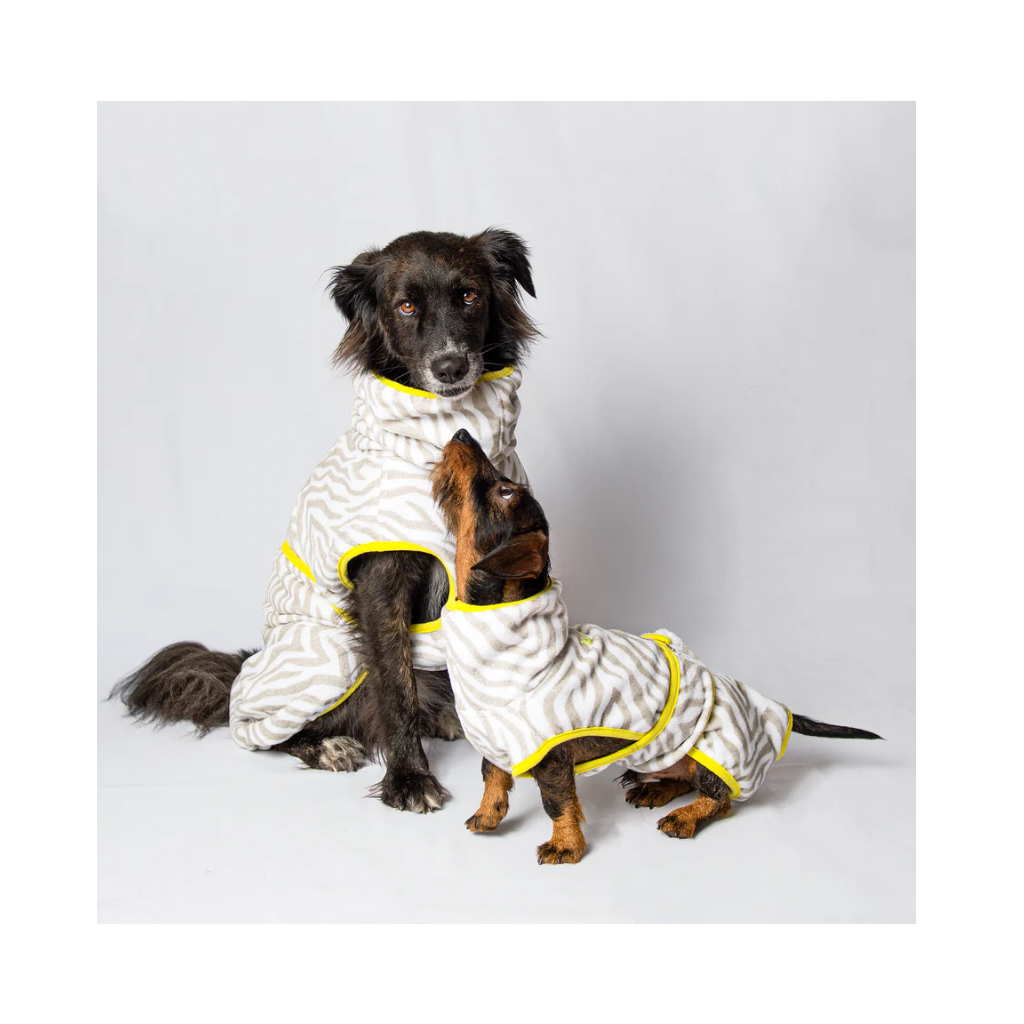 Hunde mit Hundebademantel ZEBRA - Lumiies