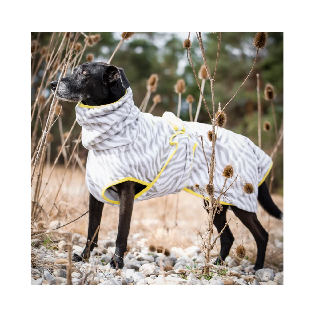 Tragebild 2 Hundebademantel ZEBRA - Lumiies