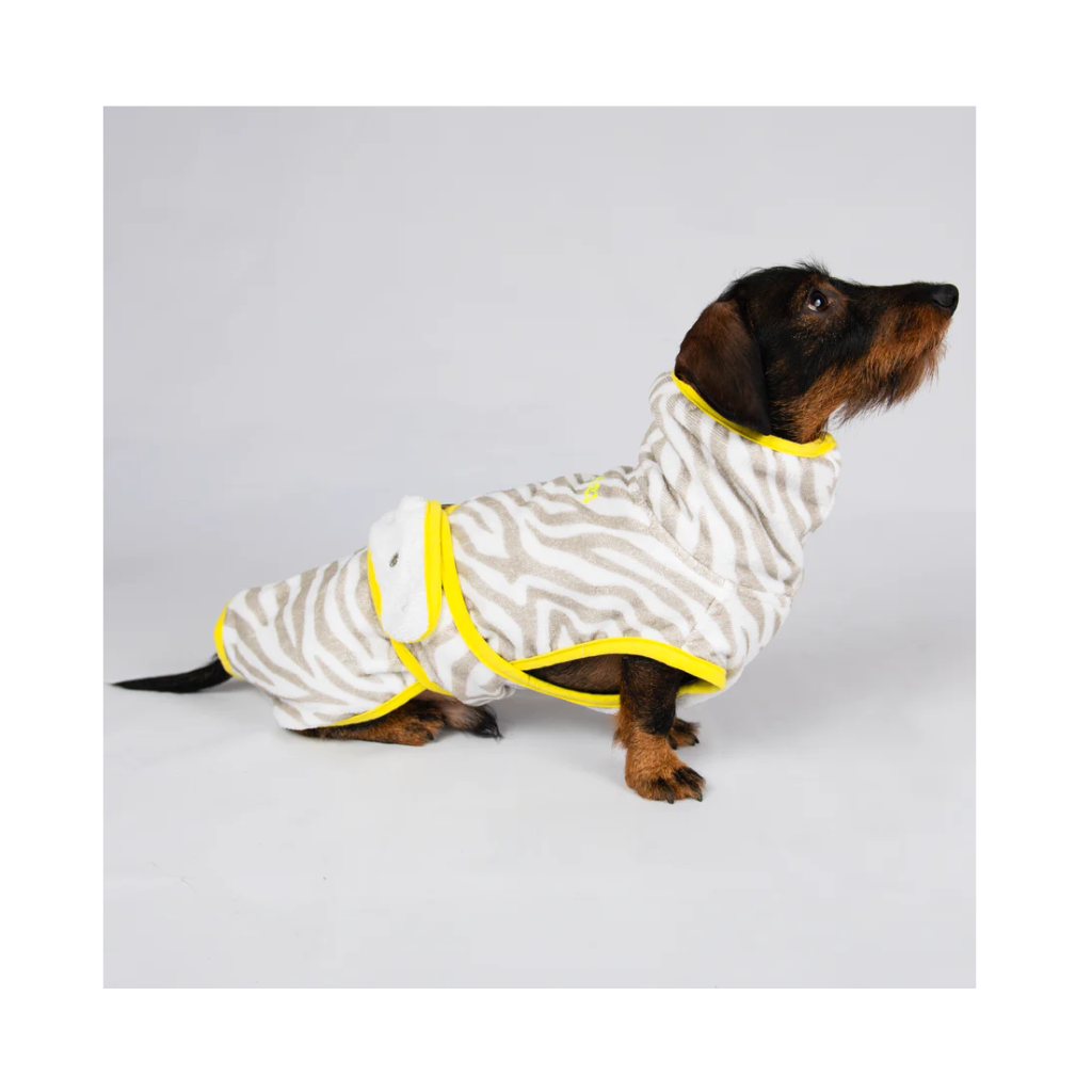 Tragebild Hundebademantel ZEBRA für Dackel - lumiies