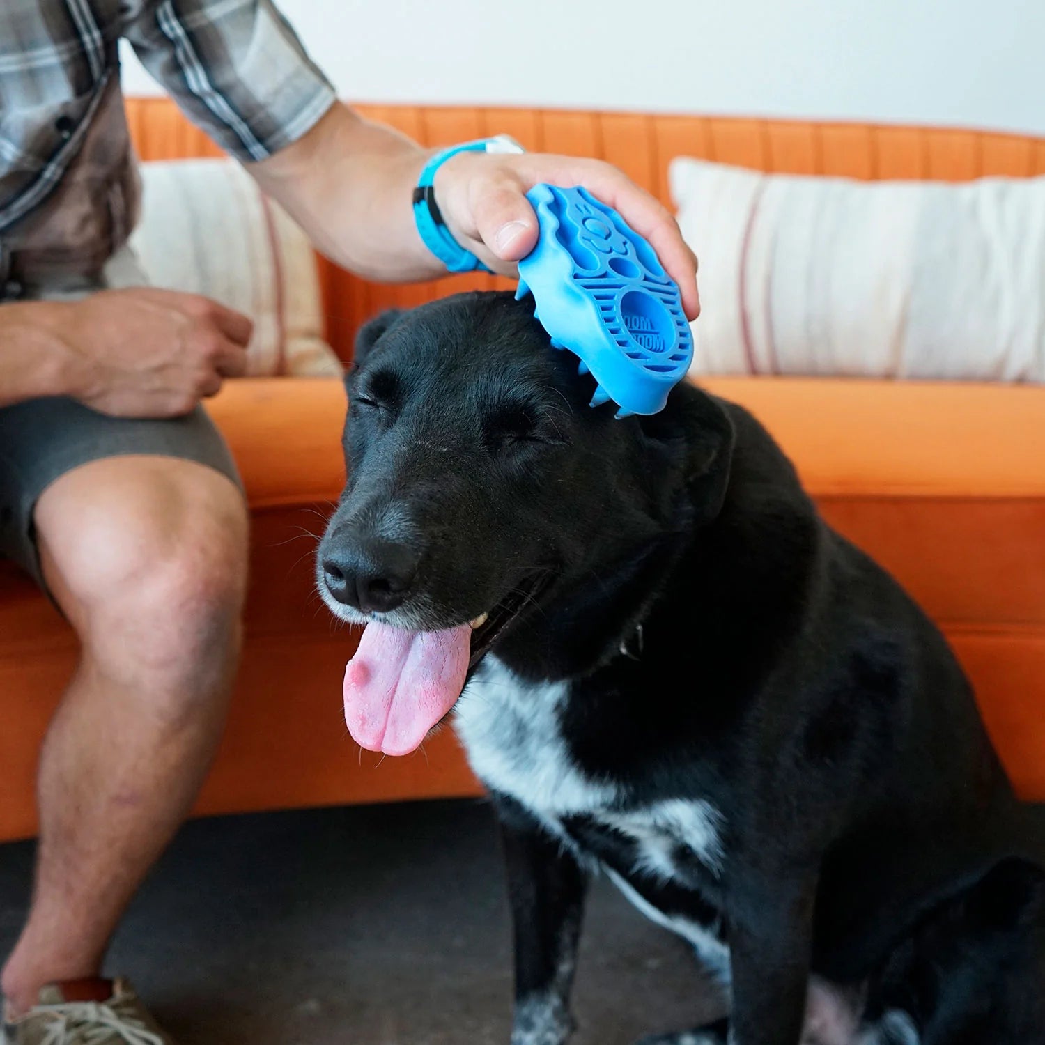 Hundestriegel Zoomgroom von KONG®