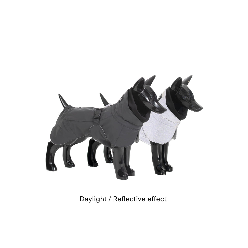 Tageslicht & Reflektion - Hunderegenmantel Raincoat Visibility dark - PAIKKA