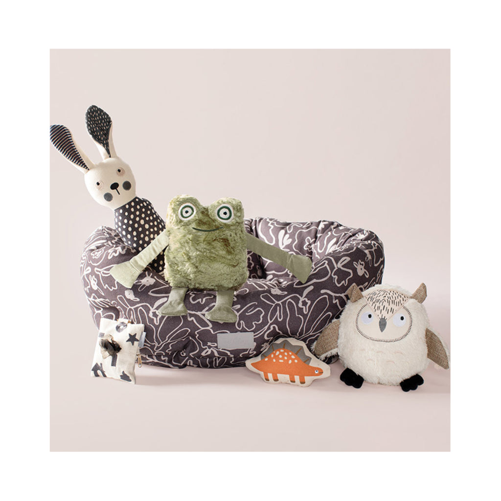 Hundespielzeug Frosch I jump around I Earth Friendly XXL