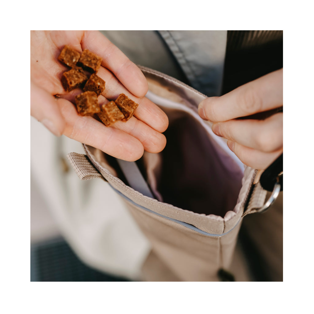 Leckerlis Gassitasche ALVA Snackbeutel BEIGE - HUNTER