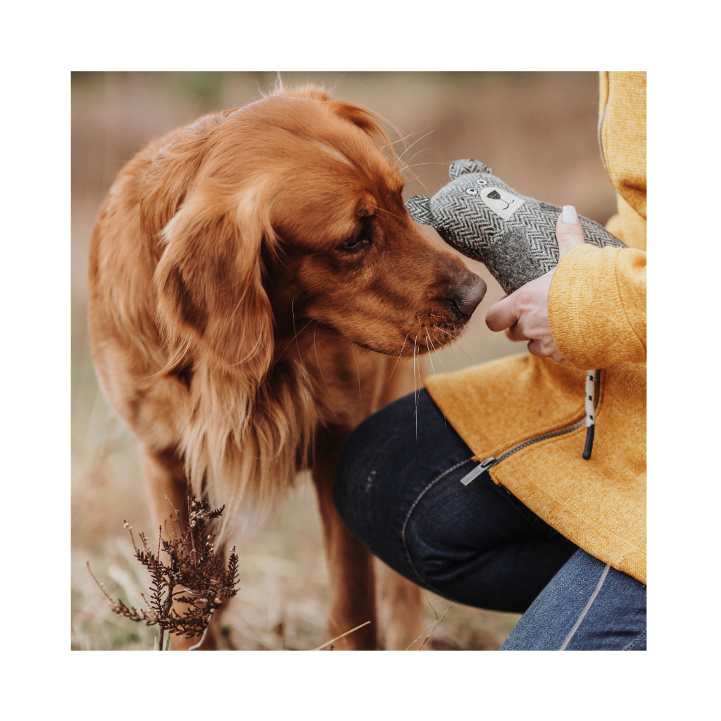 Hund mit Hundespielzeug Billund Bär 23 cm upgecycelt - HUNTER