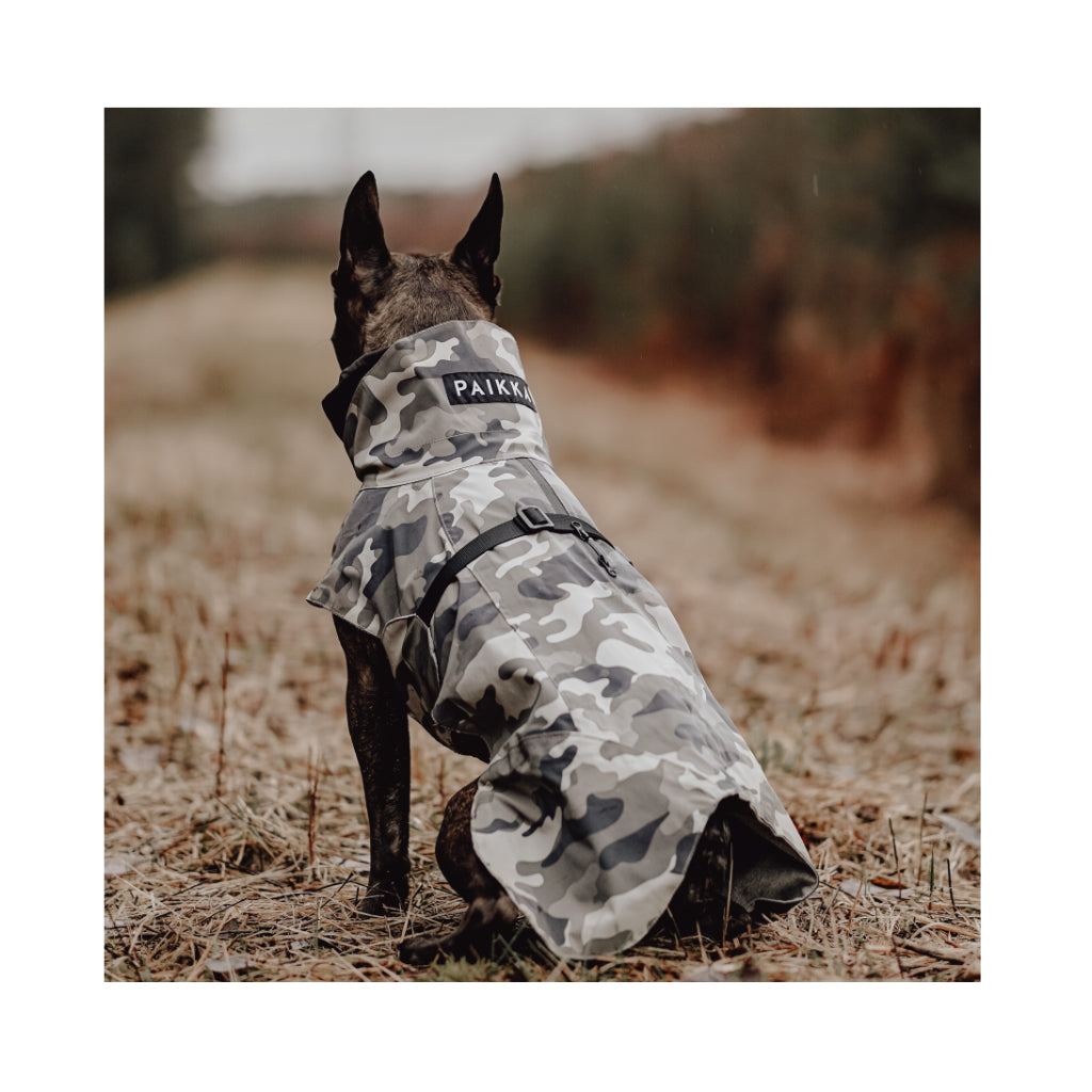 Hunderegenmantel Raincoat Visibility CAMOUFLAGE reflektierend