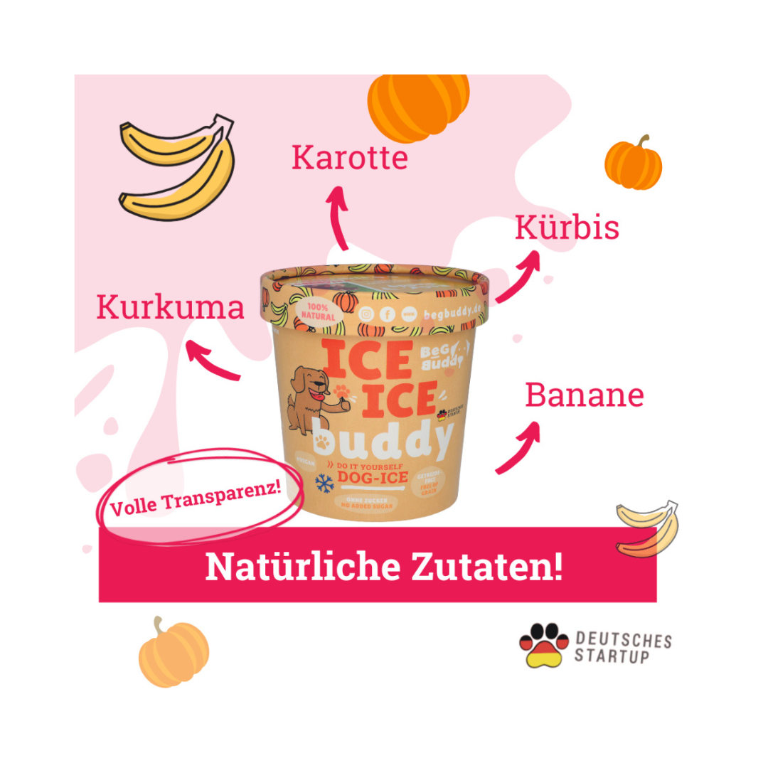 Zutaten Hundeeis mit Kürbis, Banane und Kurkuma - BeG Buddy