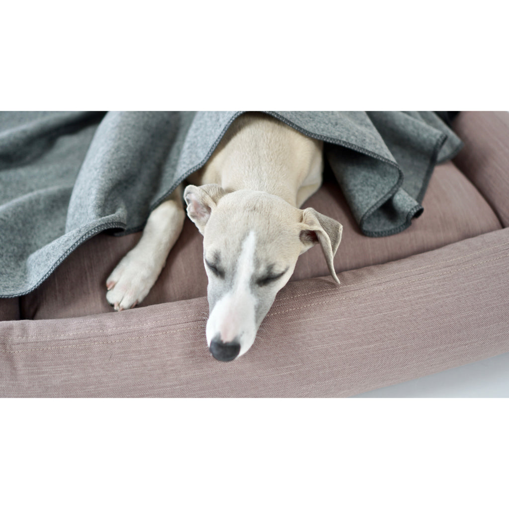 Asnen Hundedecke grau in hellen Hundebett - LABBVENN