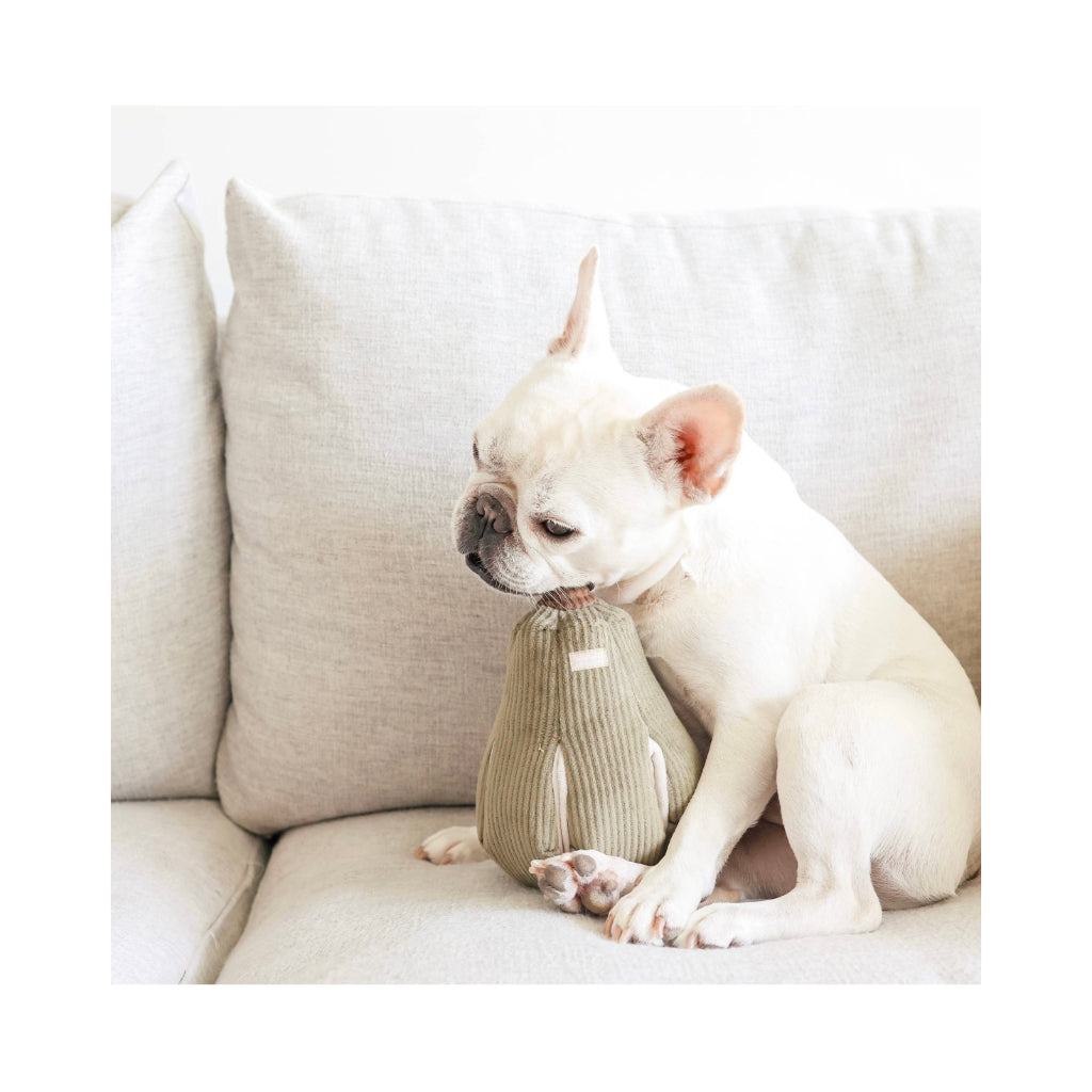 Hundespielzeug Butternuss Schnüffelkürbis Oliv - Lambwolf Collective