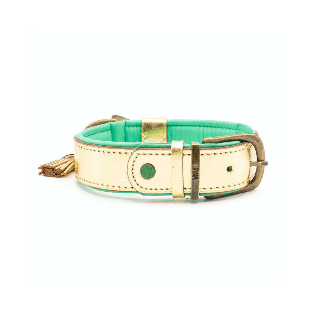 Halsband CITY BLING Gold Schnalle - DWAM - Dog with A Mission