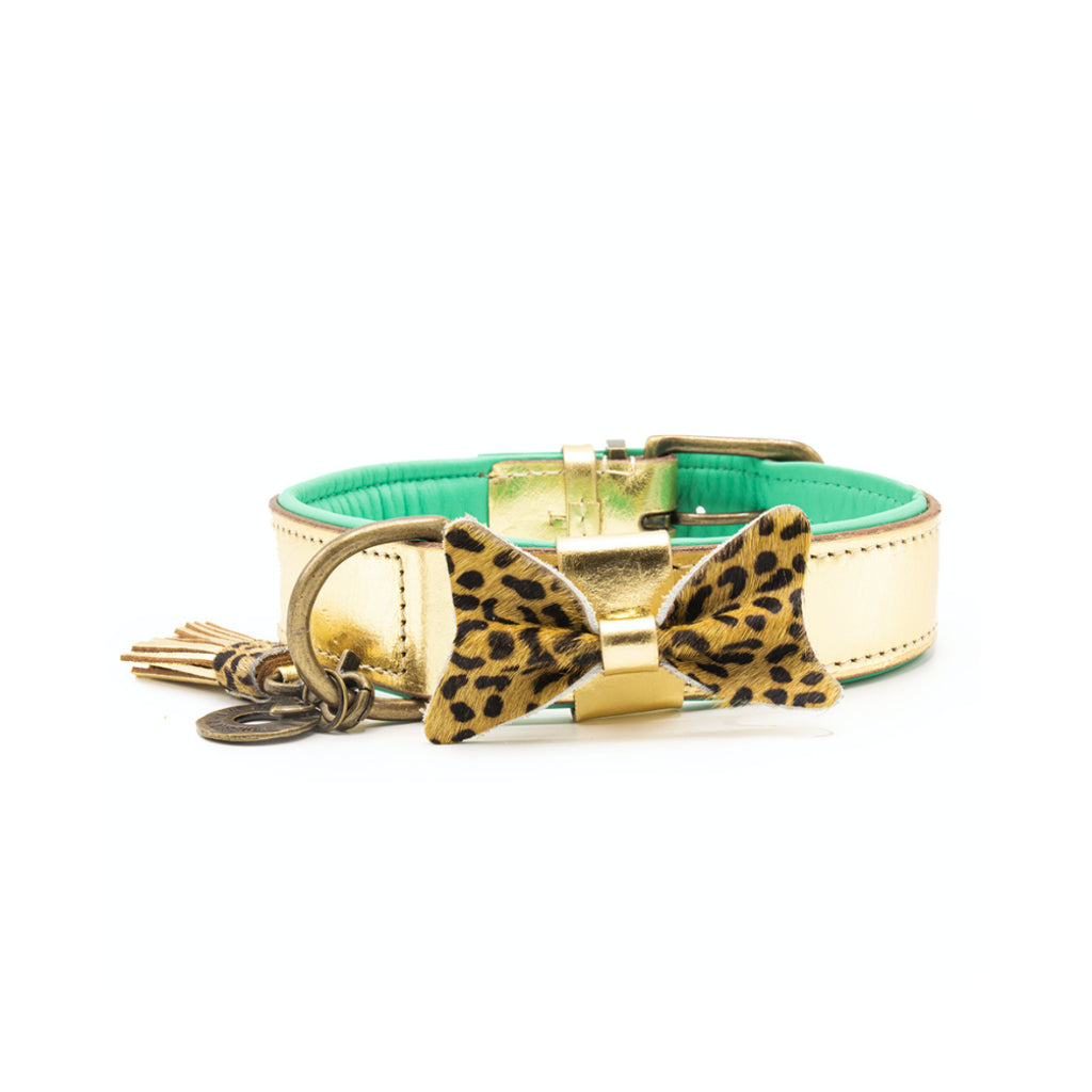 Halsband CITY BLING Gold Größe M - DWAM - Dog with A Mission