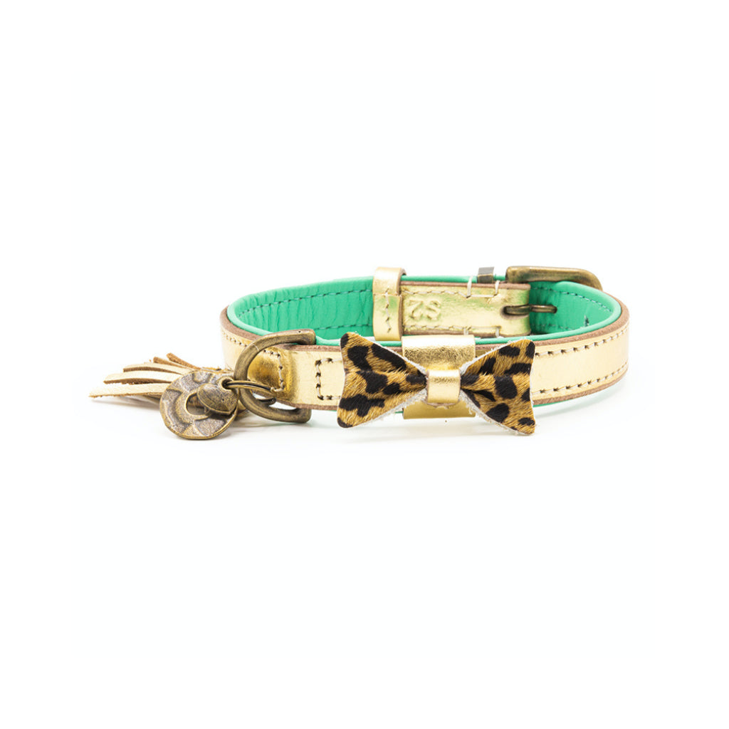 Halsband CITY BLING Gold Größe XS - DWAM - Dog with A Mission