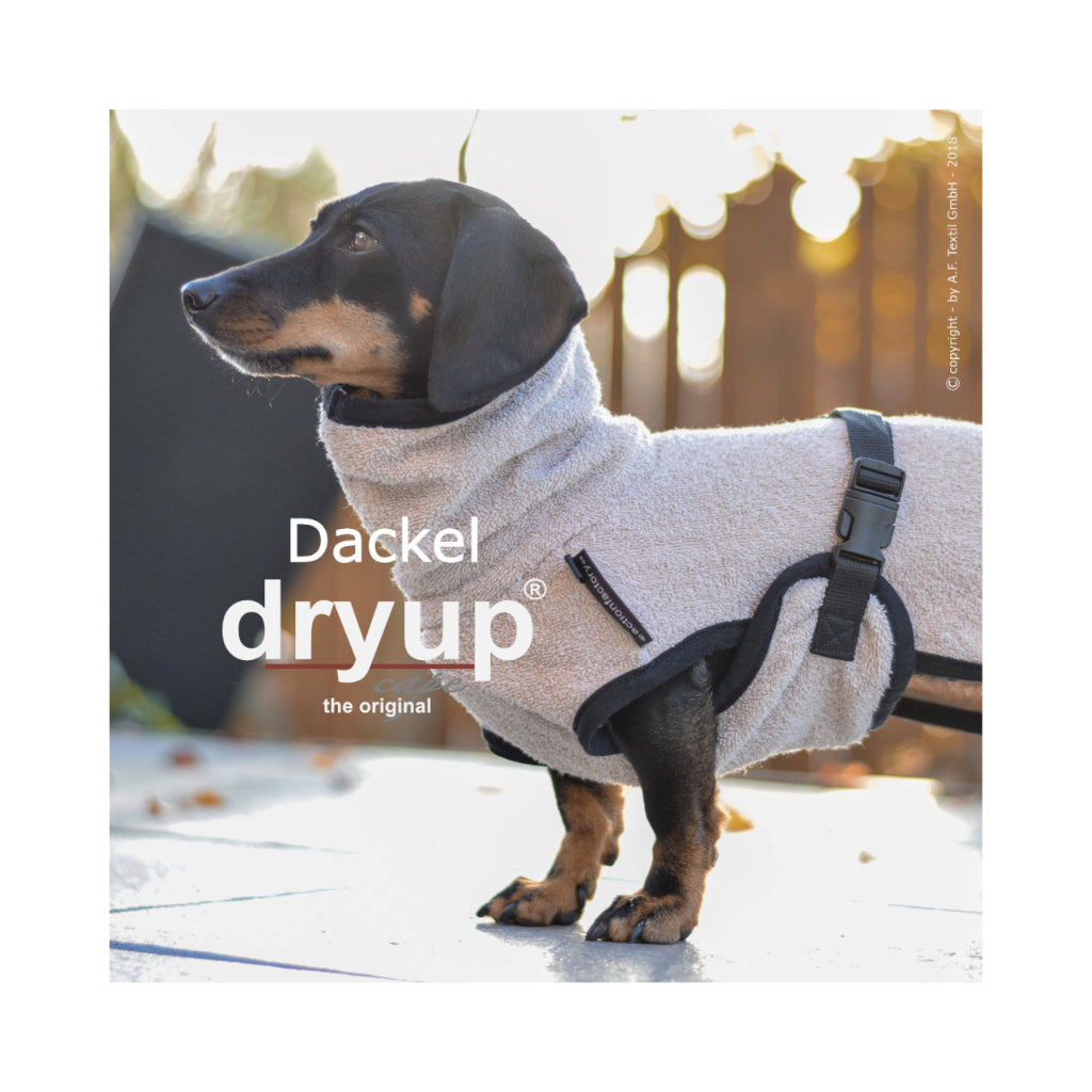 Hundebademantel DRYUP Cape Dackel sand Tragebild 2 - actionfactory
